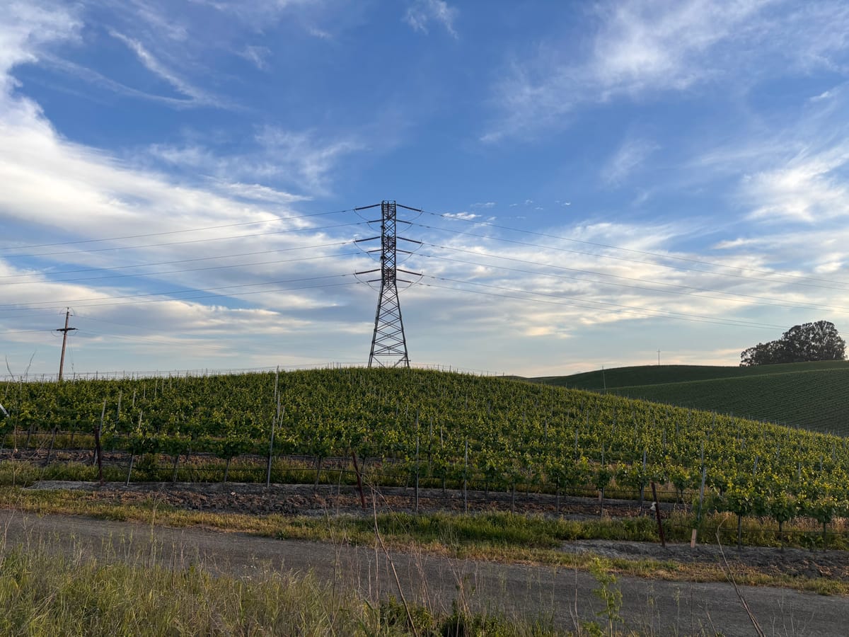 Show love for transmission